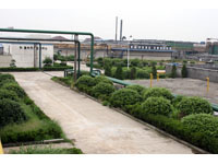 Plant 2